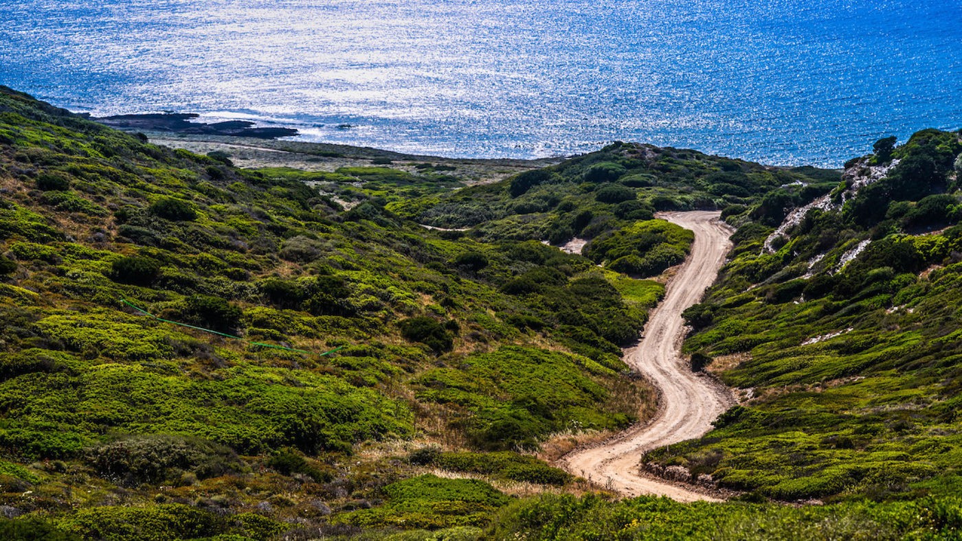WRC Rally Italia: tanti colpi di scena dalla PS1 alla PS5