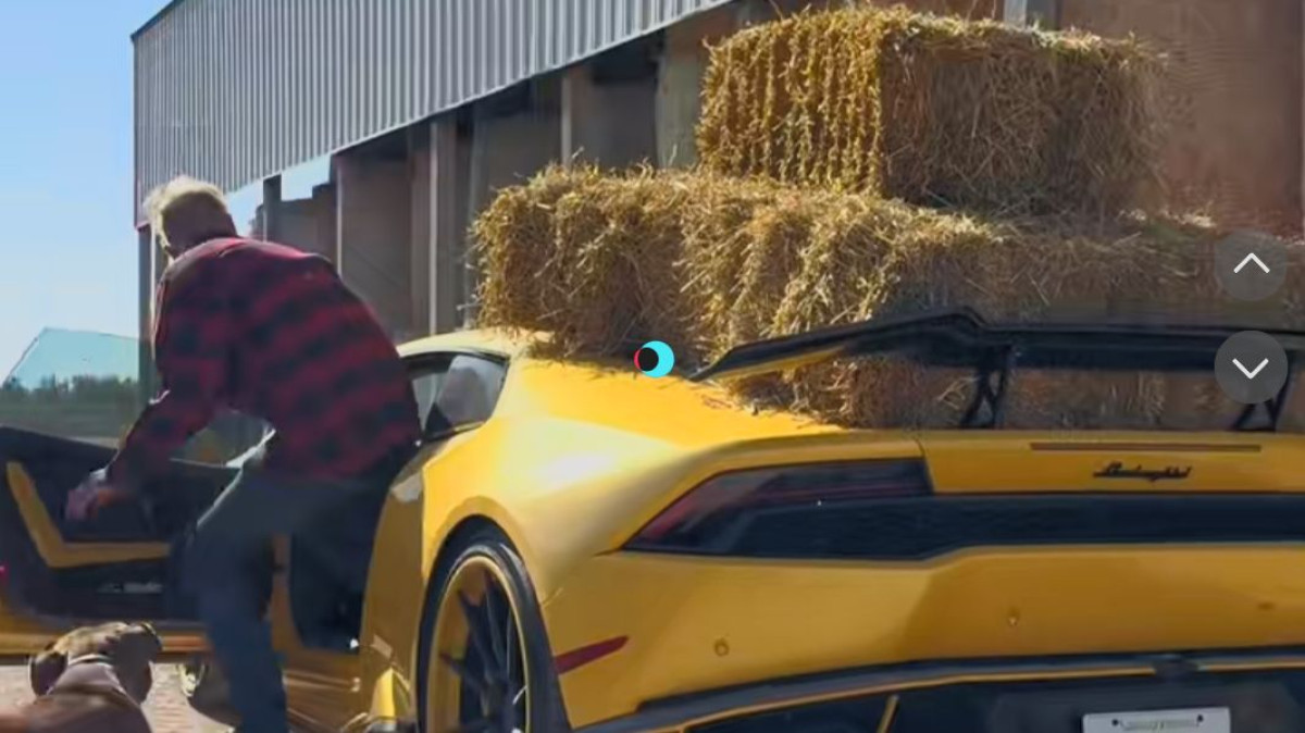 Una Lamborghini che torna alle origini: un trattore col ruggito V10