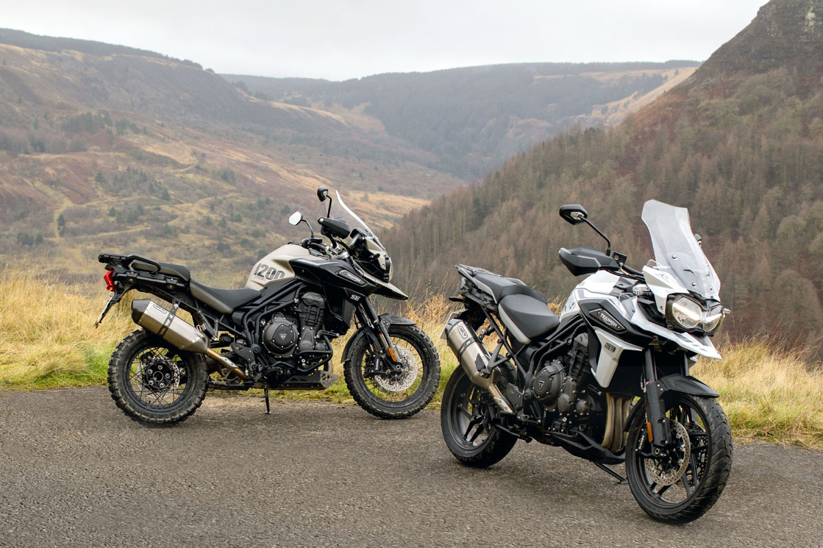 tiger 1200 alpine edition