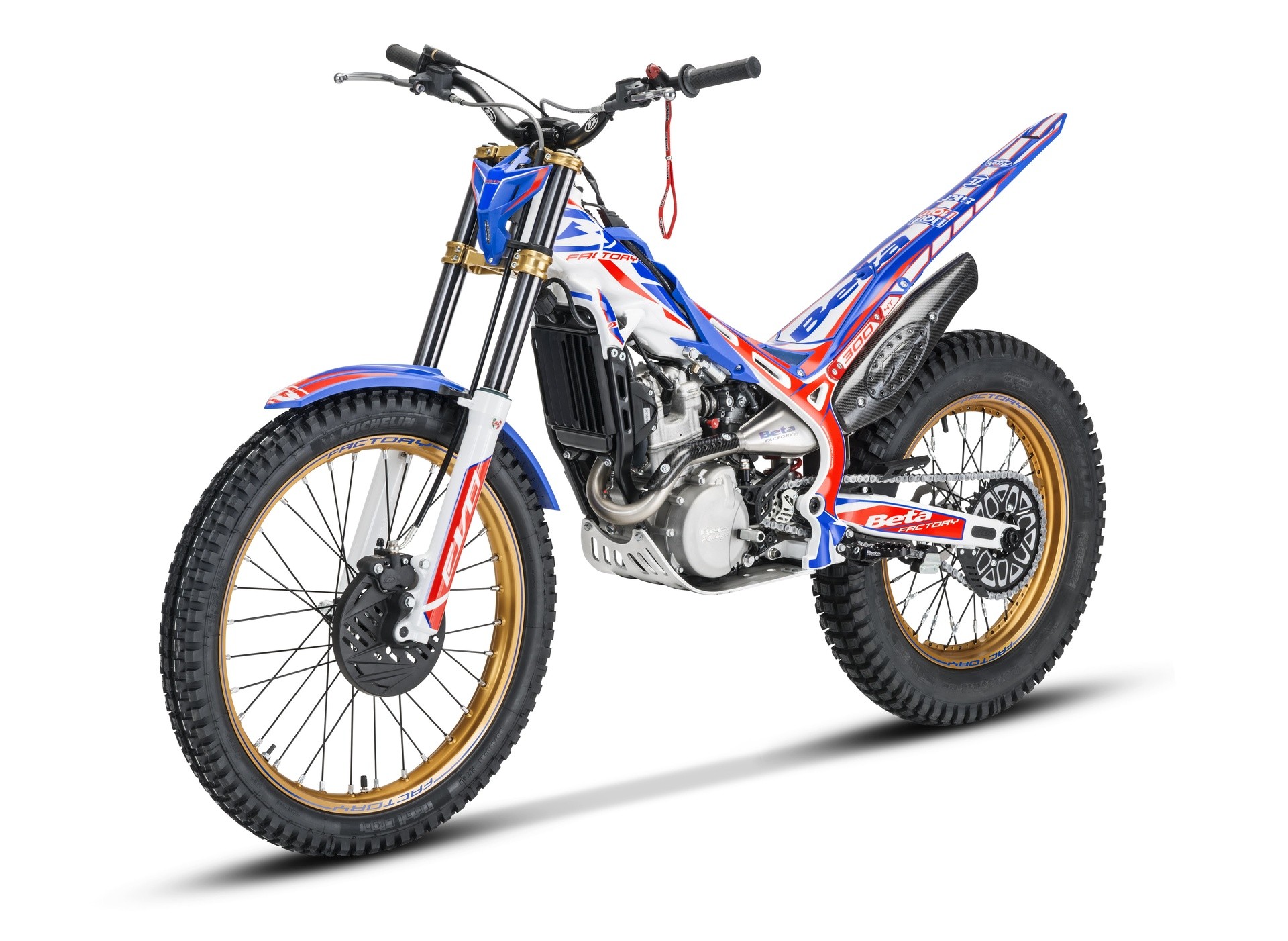 Beta Evo Factory 2021