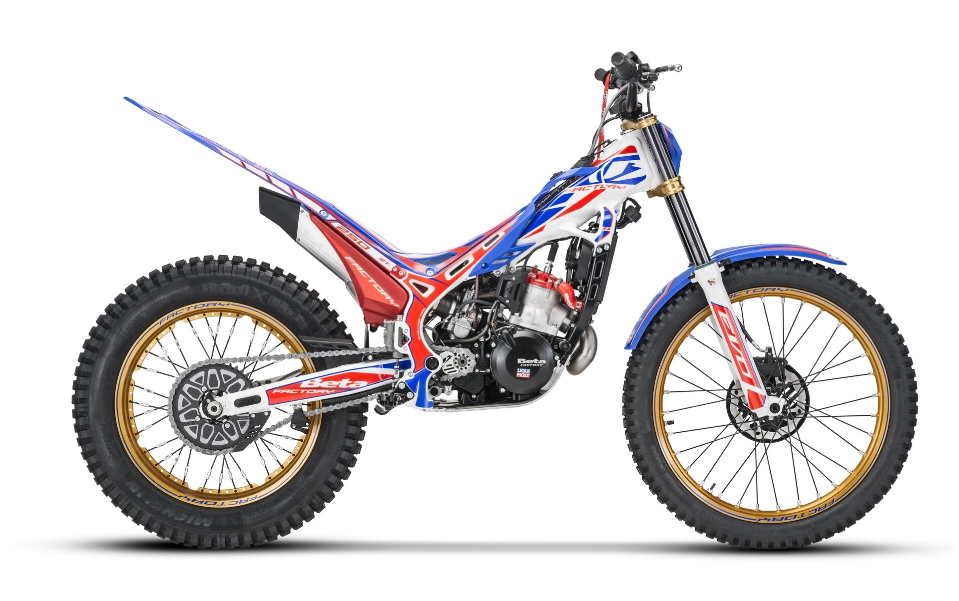 Beta Evo Factory 2021