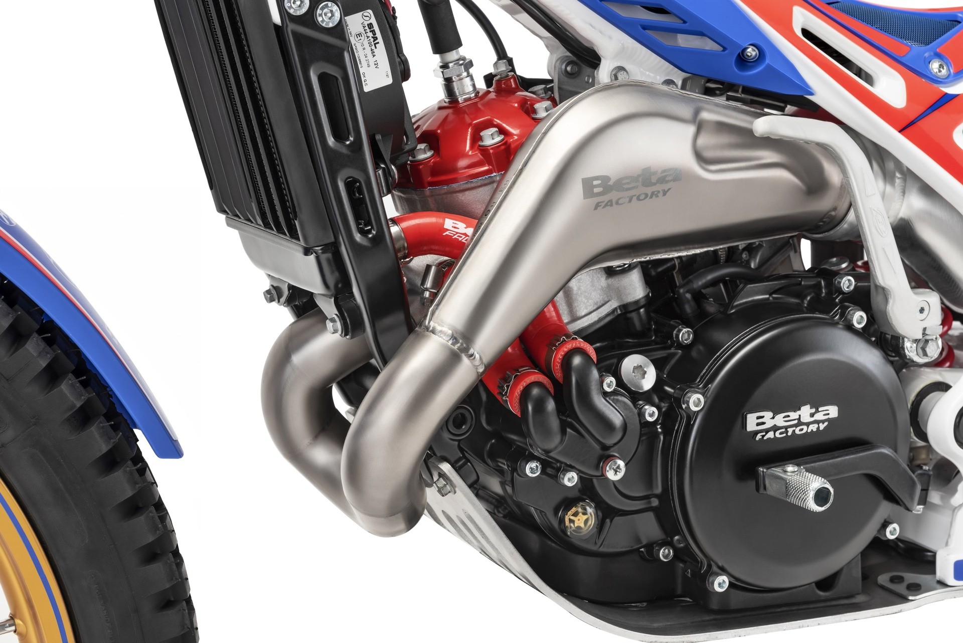 Beta Evo Factory 2021