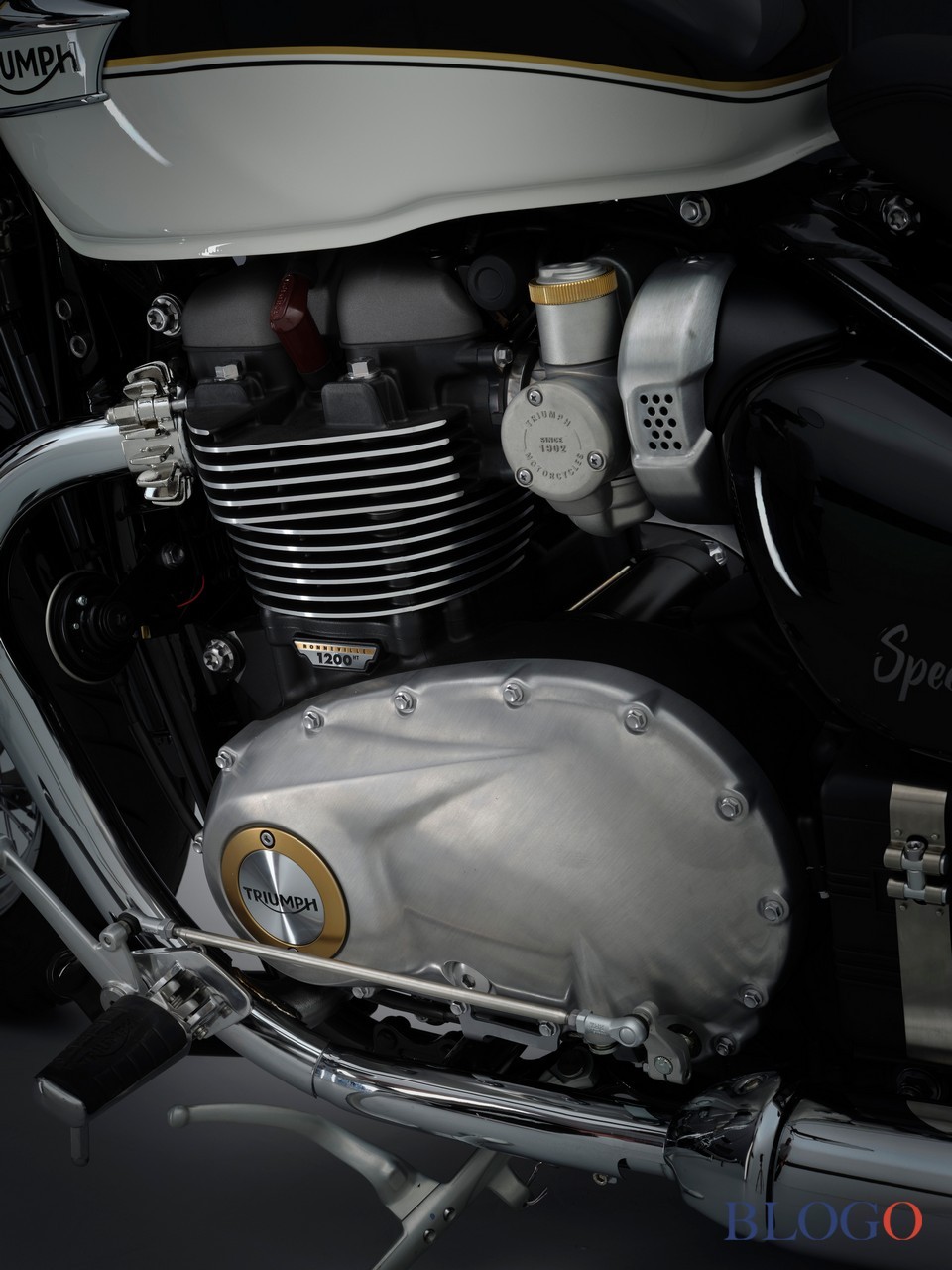 Triumph Bonneville | Gamma 2021