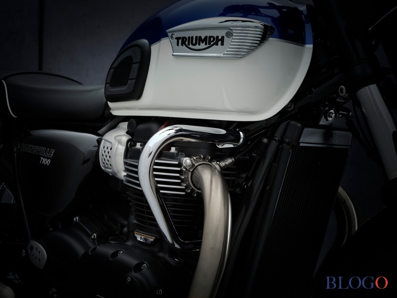 Triumph Bonneville | Gamma 2021