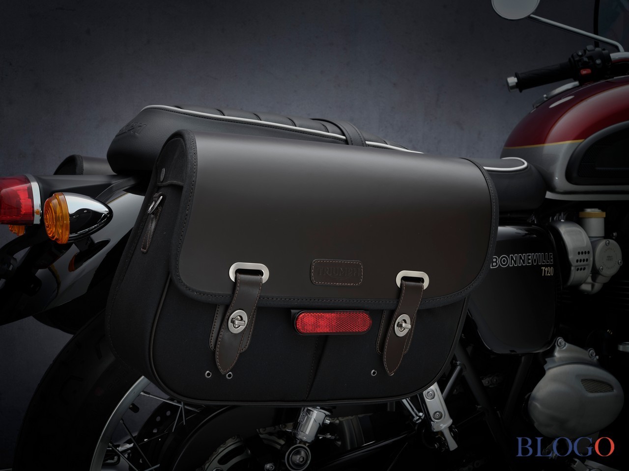 Triumph Bonneville | Gamma 2021