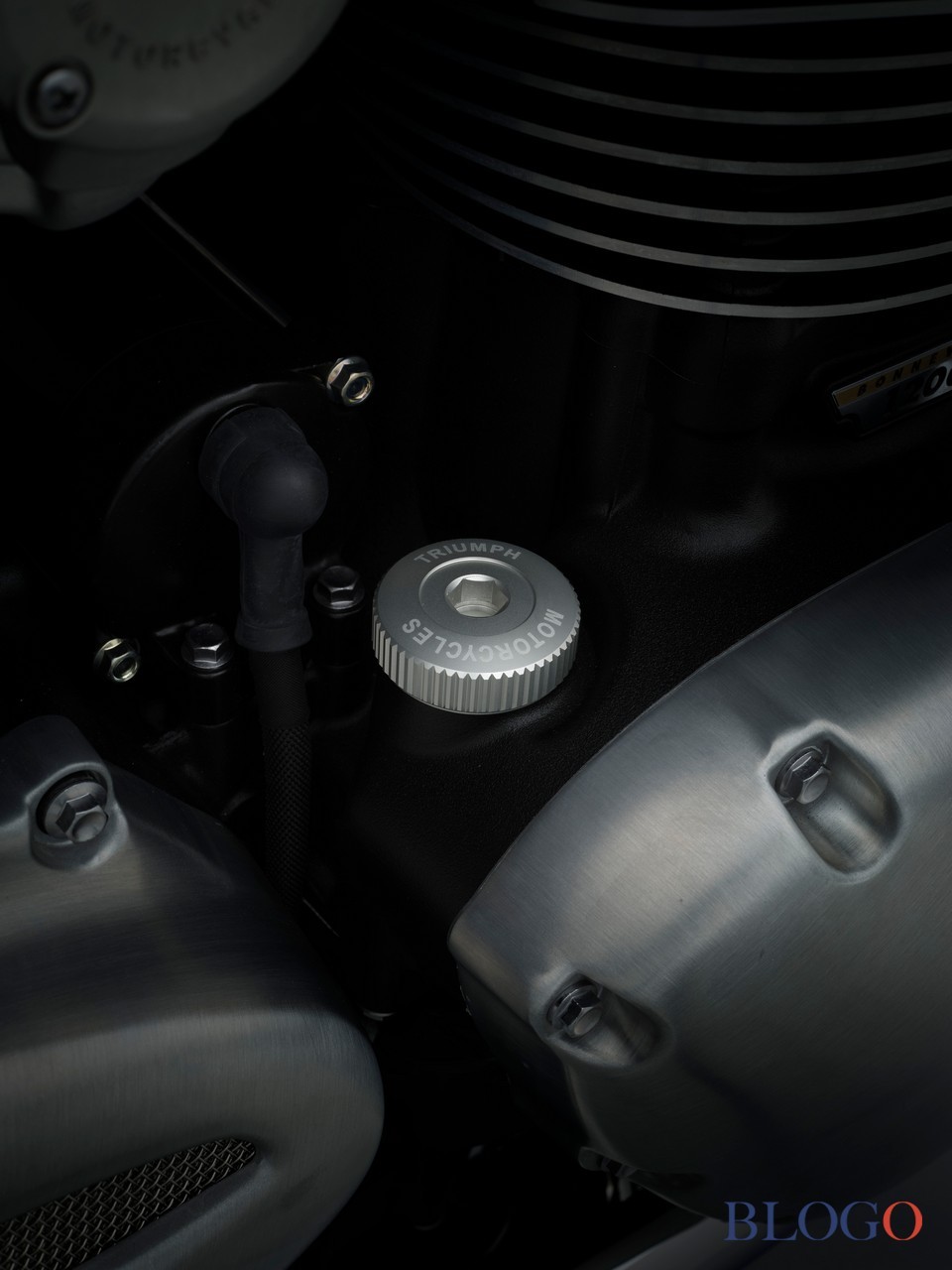 Triumph Bonneville | Gamma 2021