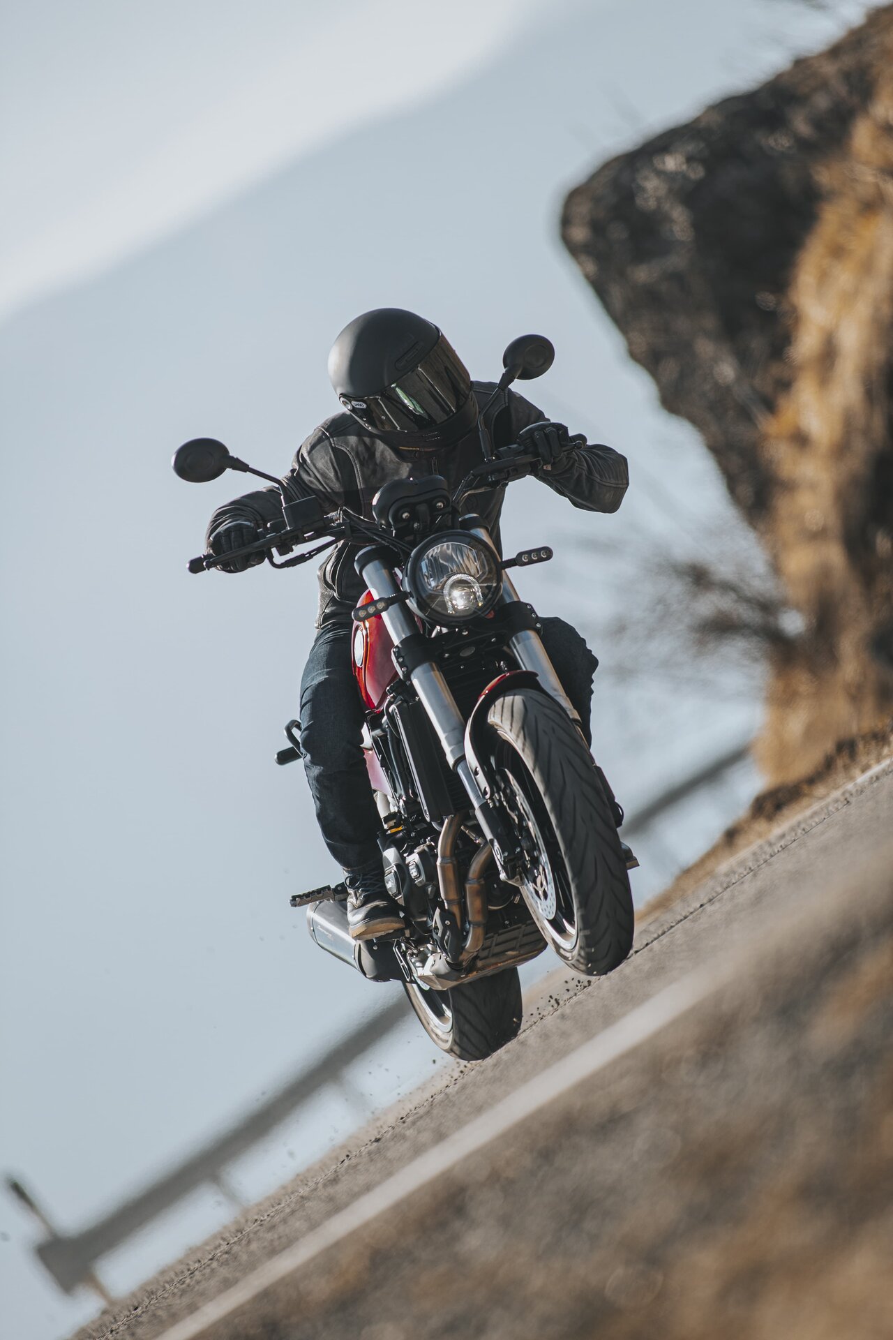 Benelli Leoncino 500 2021