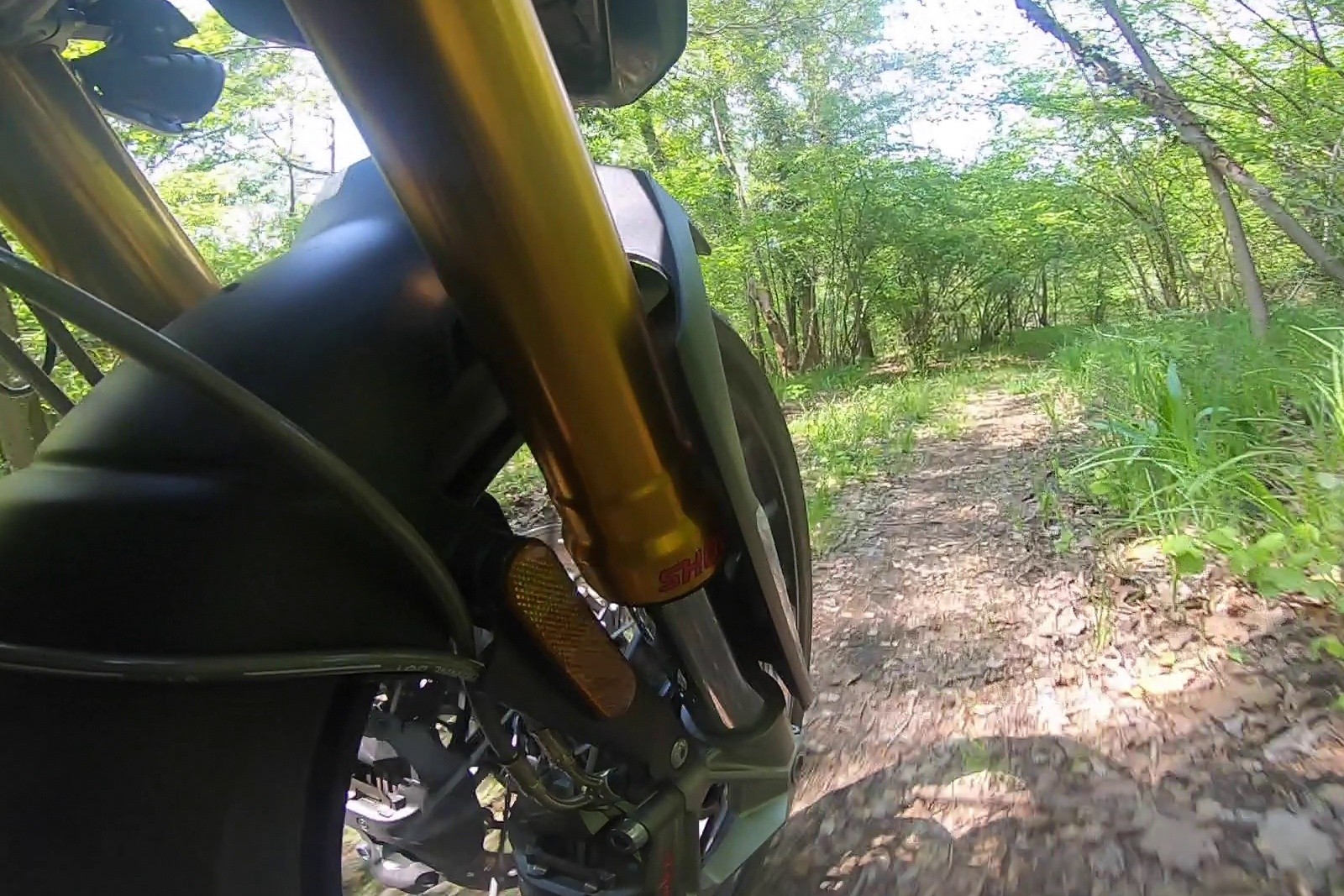 Triumph Tiger 900 Rally PRO