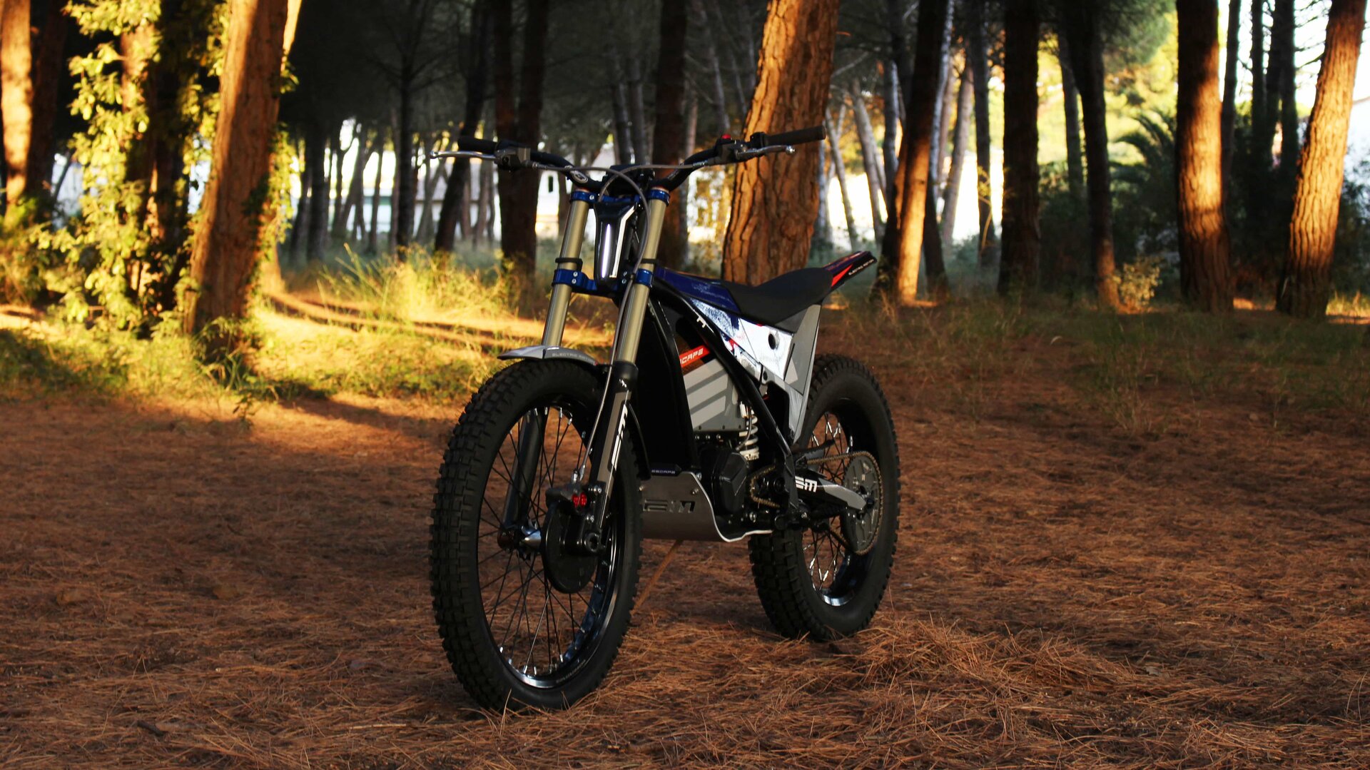 Electric Motion gamma 2022