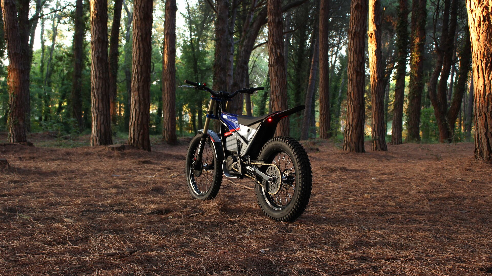 Electric Motion gamma 2022