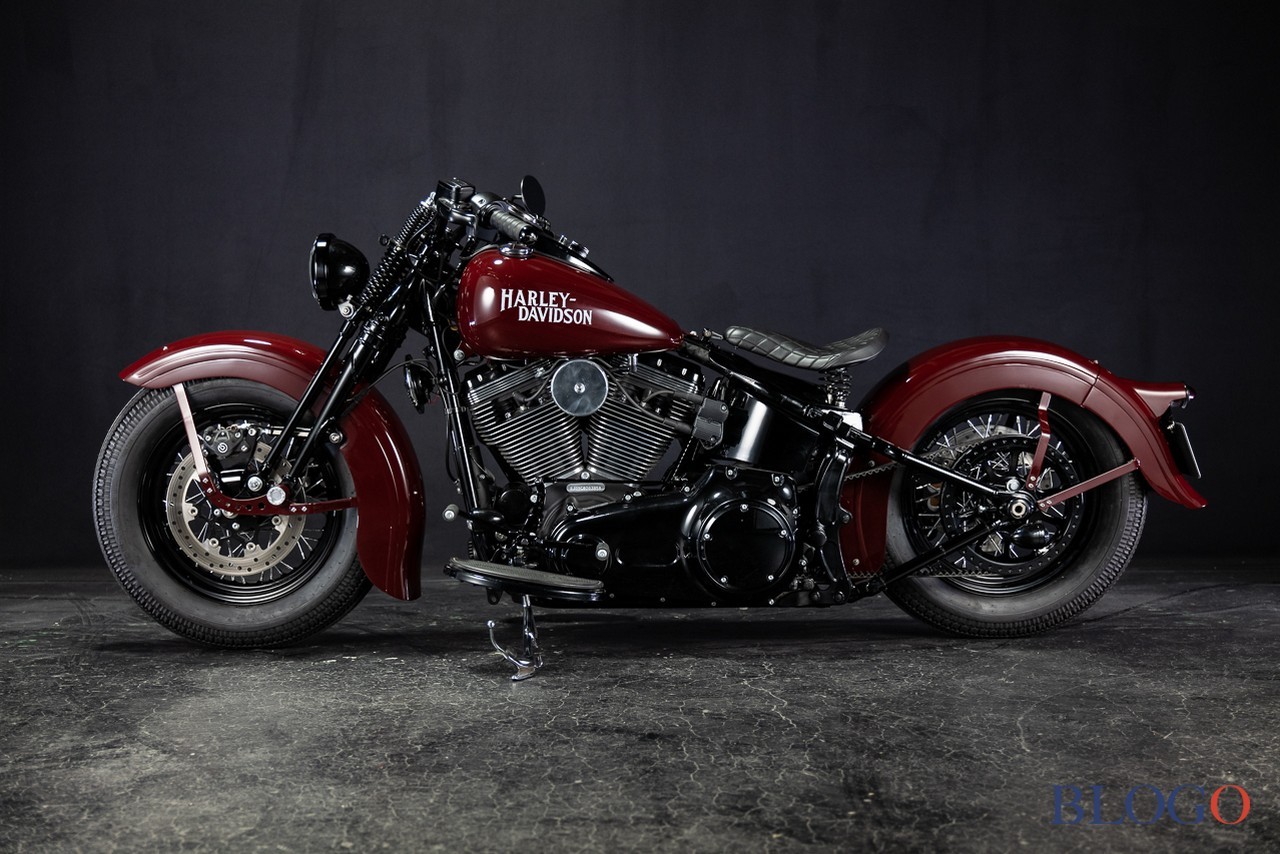 Harley-Davidson Softail Slim "Shishigaya" by Bad Land