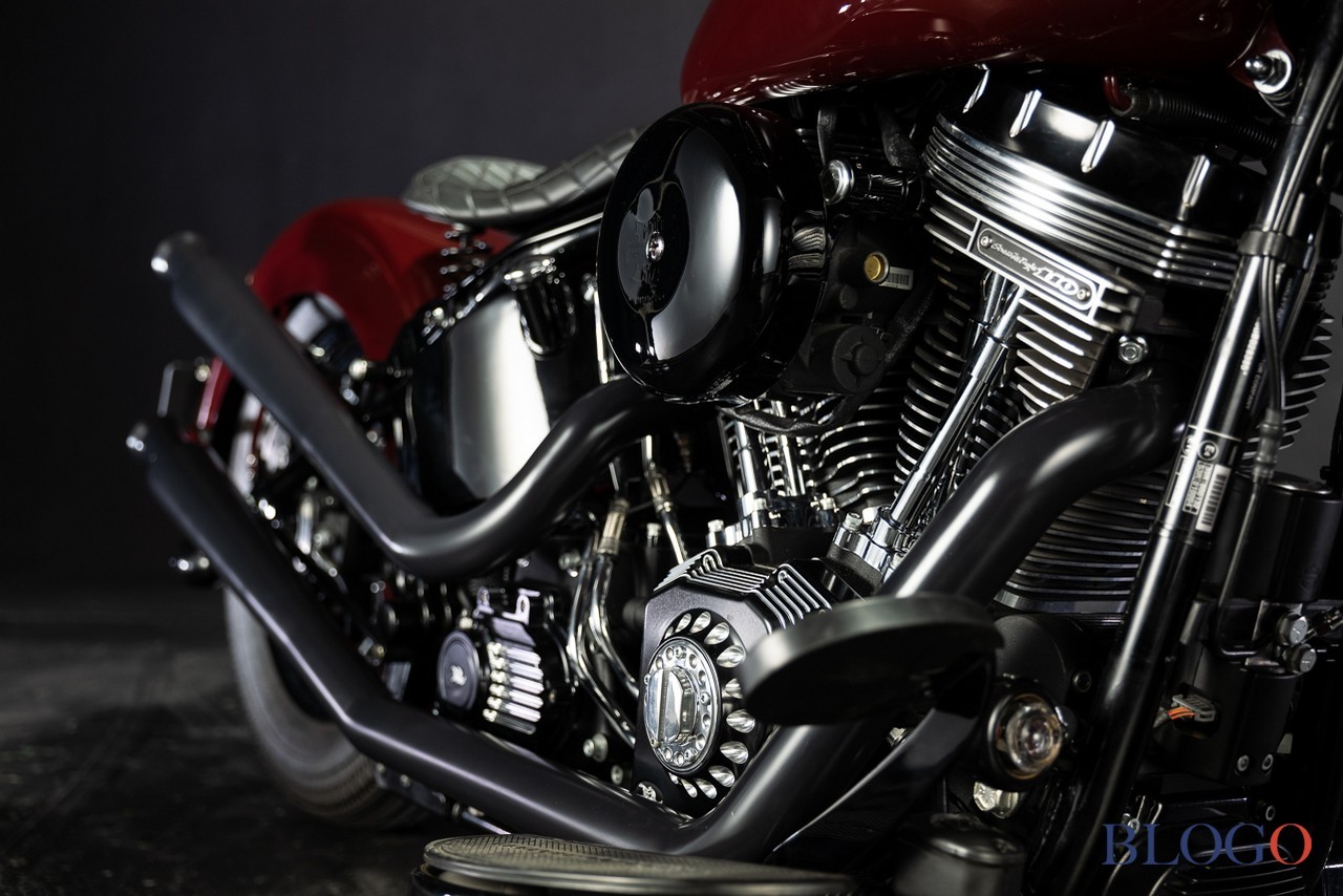 Harley-Davidson Softail Slim "Shishigaya" by Bad Land