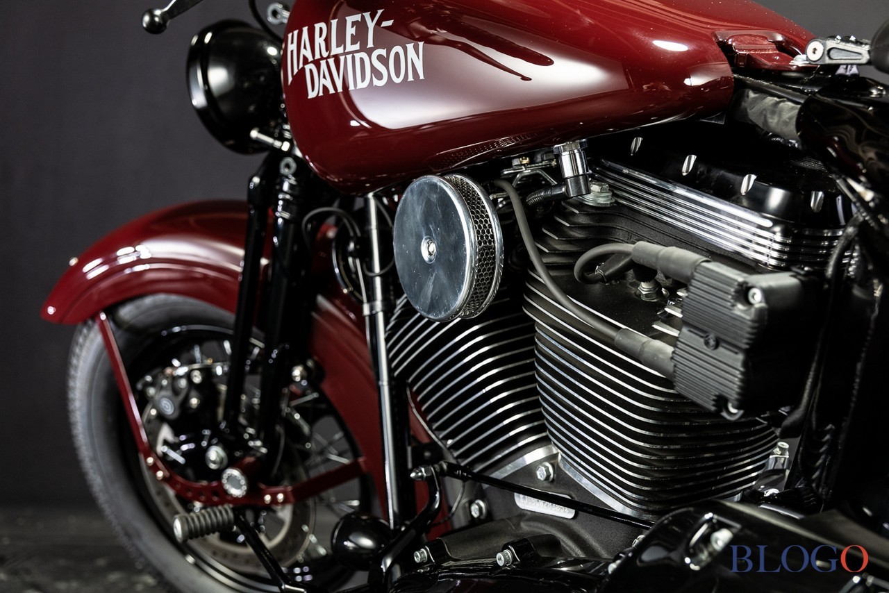 Harley-Davidson Softail Slim "Shishigaya" by Bad Land