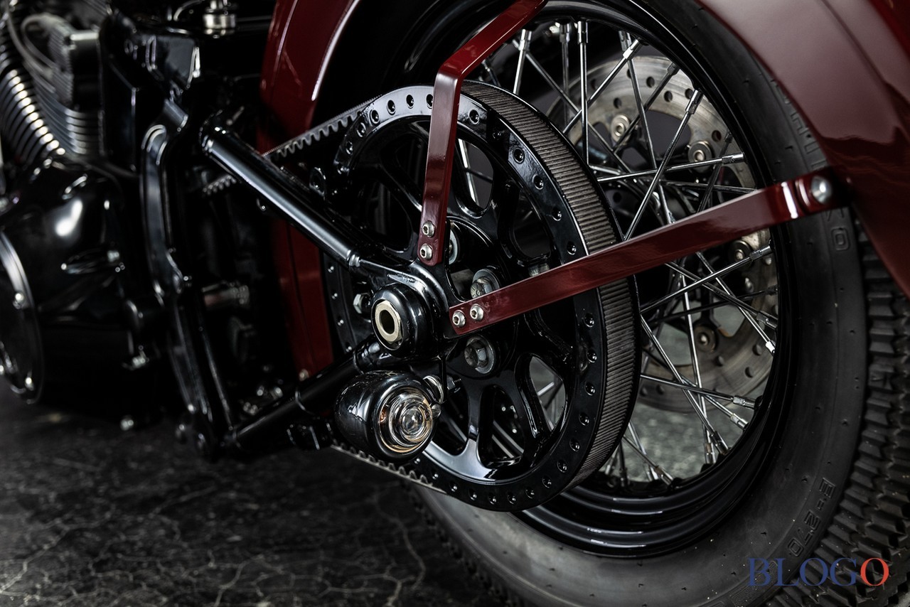 Harley-Davidson Softail Slim "Shishigaya" by Bad Land