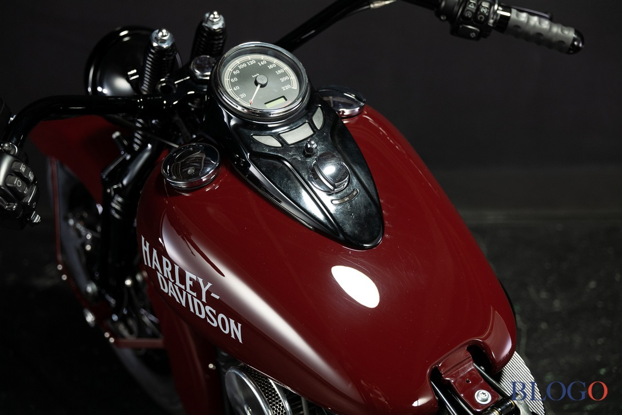 Harley-Davidson Softail Slim "Shishigaya" by Bad Land