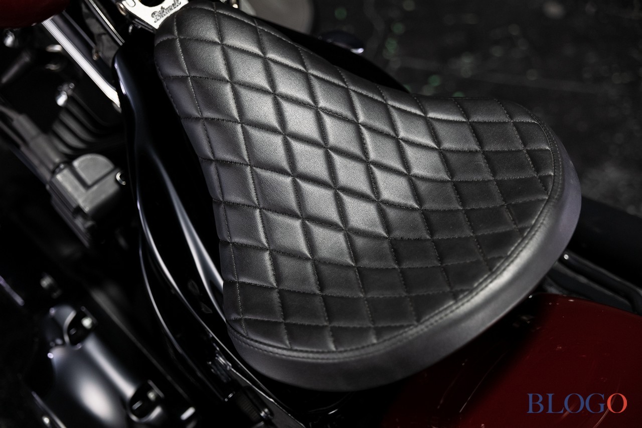 Harley-Davidson Softail Slim "Shishigaya" by Bad Land