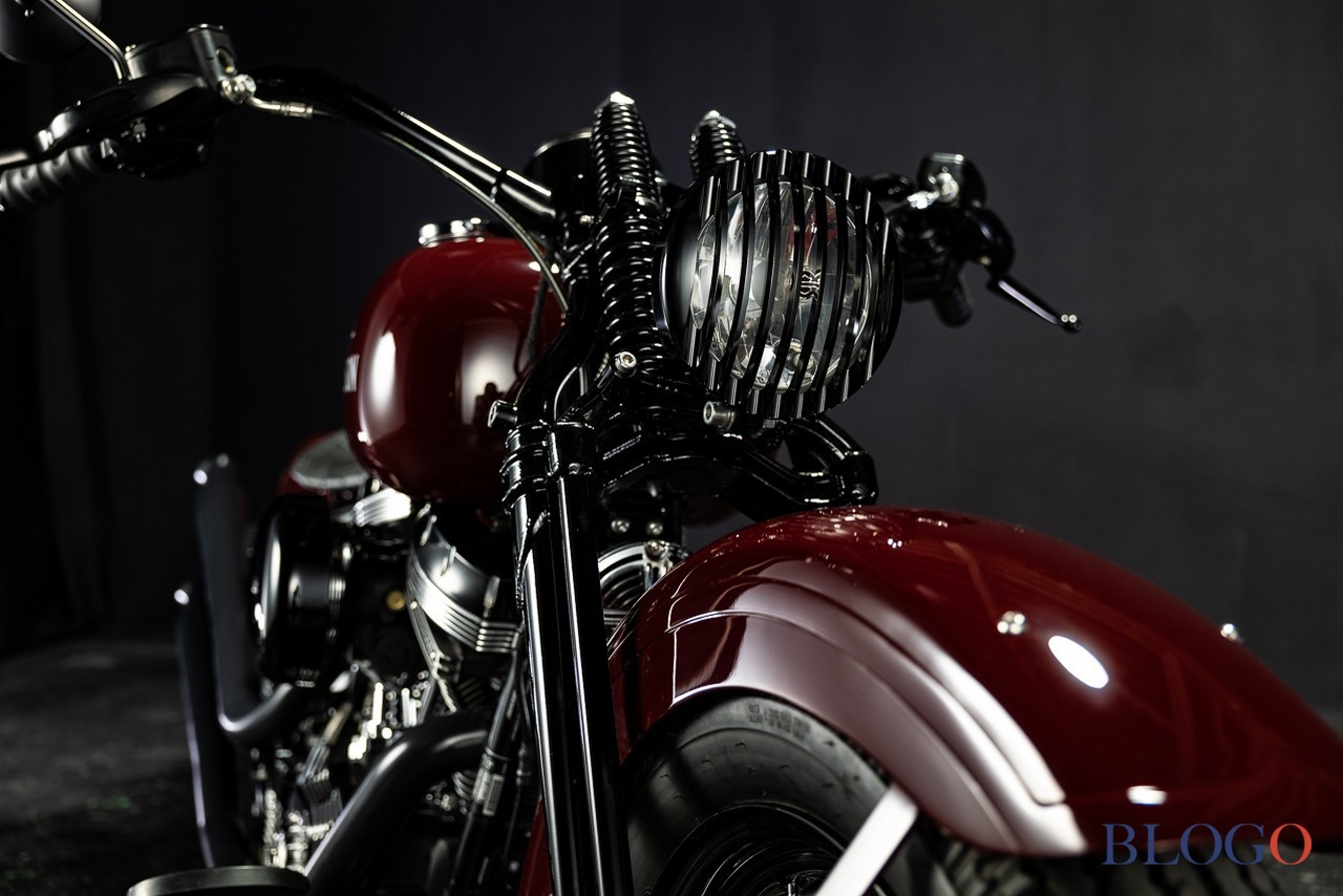 Harley-Davidson Softail Slim "Shishigaya" by Bad Land