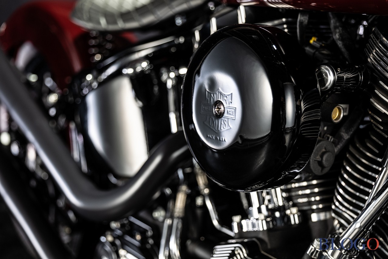 Harley-Davidson Softail Slim "Shishigaya" by Bad Land