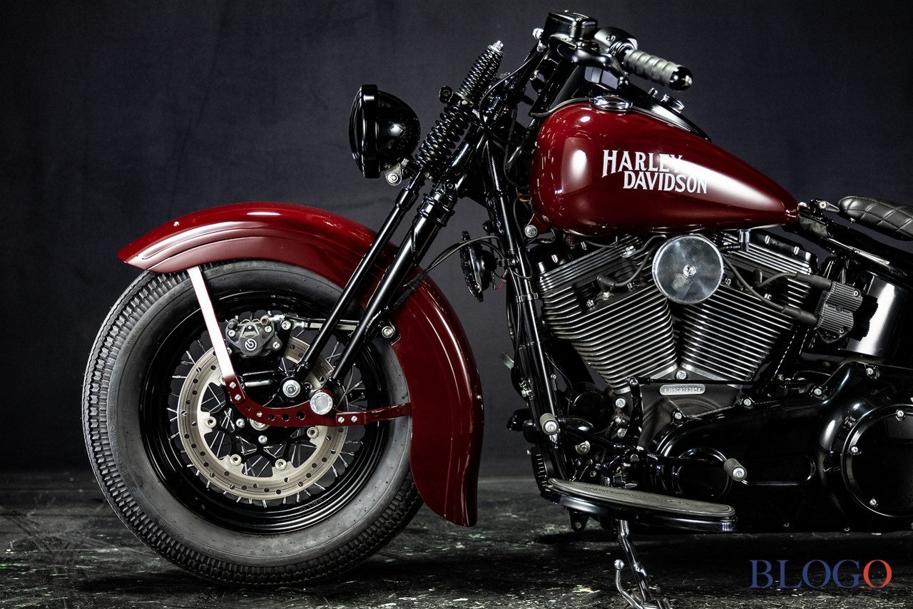 Harley-Davidson Softail Slim "Shishigaya" by Bad Land