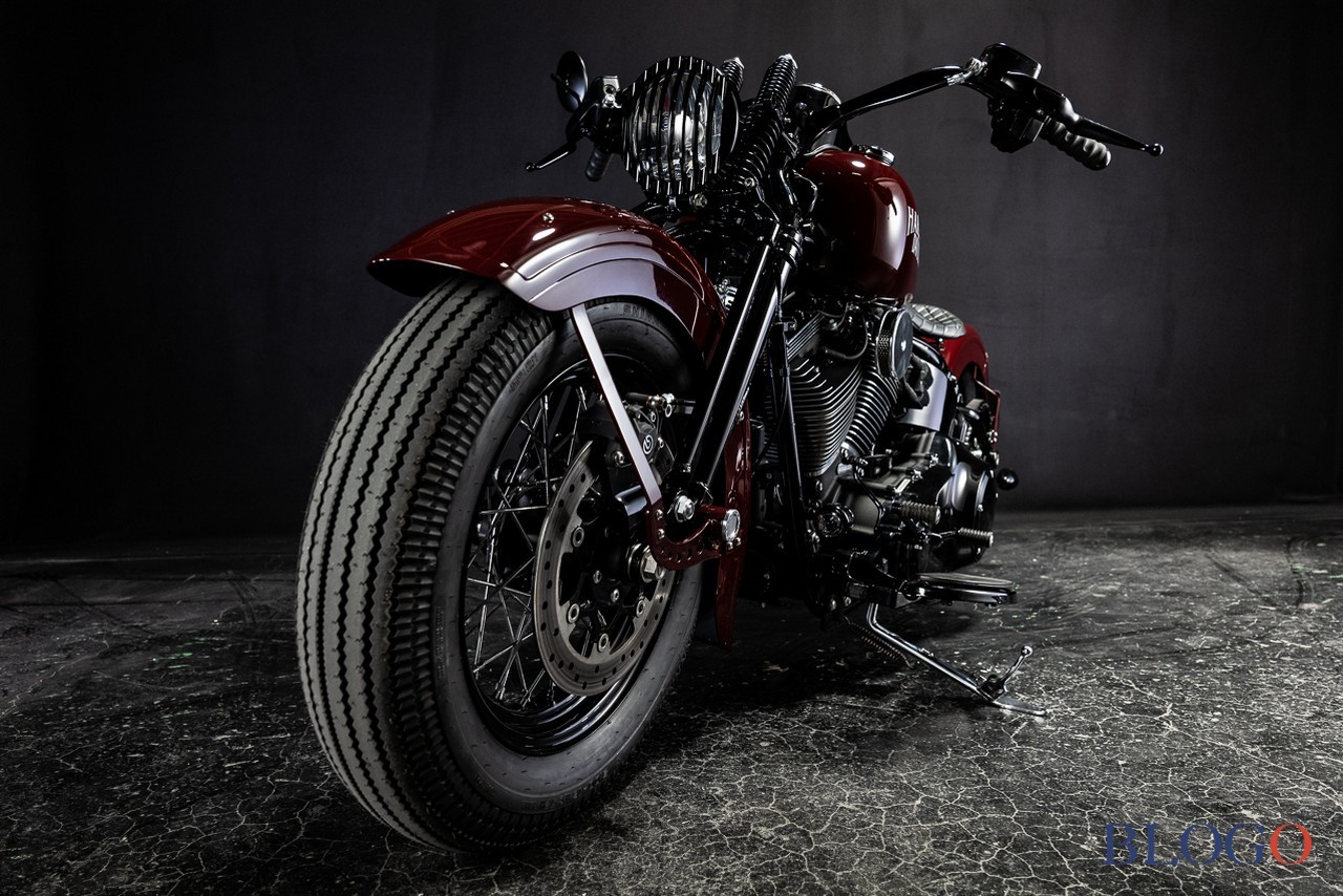 Harley-Davidson Softail Slim "Shishigaya" by Bad Land