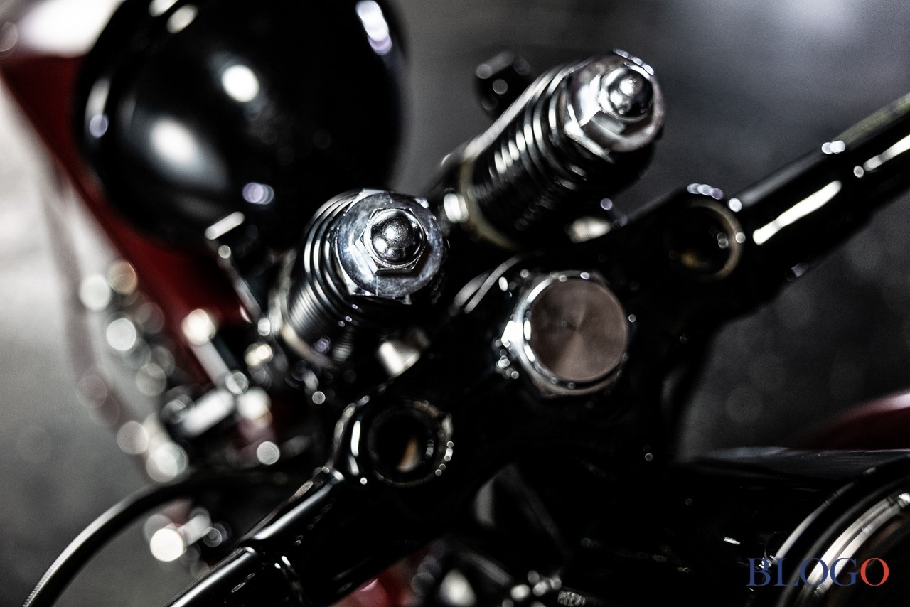 Harley-Davidson Softail Slim "Shishigaya" by Bad Land