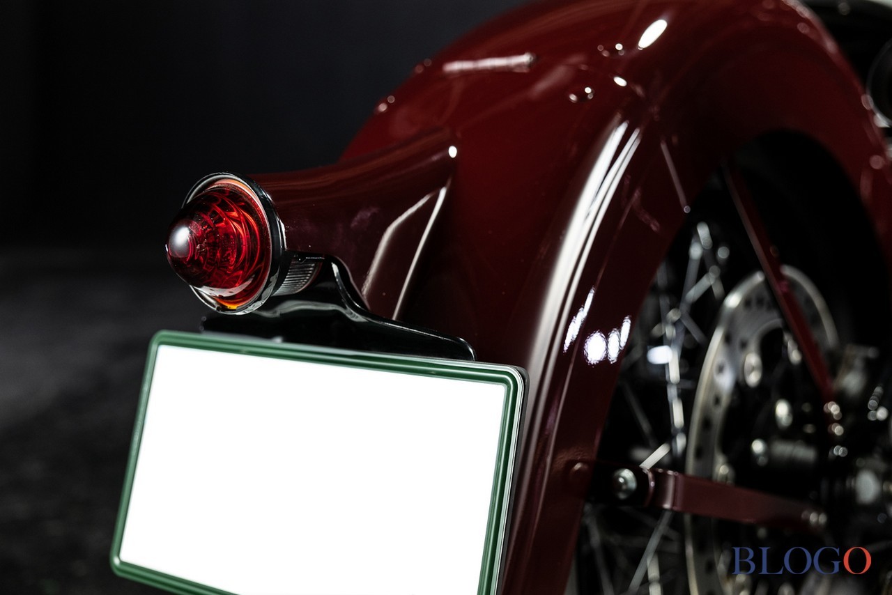 Harley-Davidson Softail Slim "Shishigaya" by Bad Land