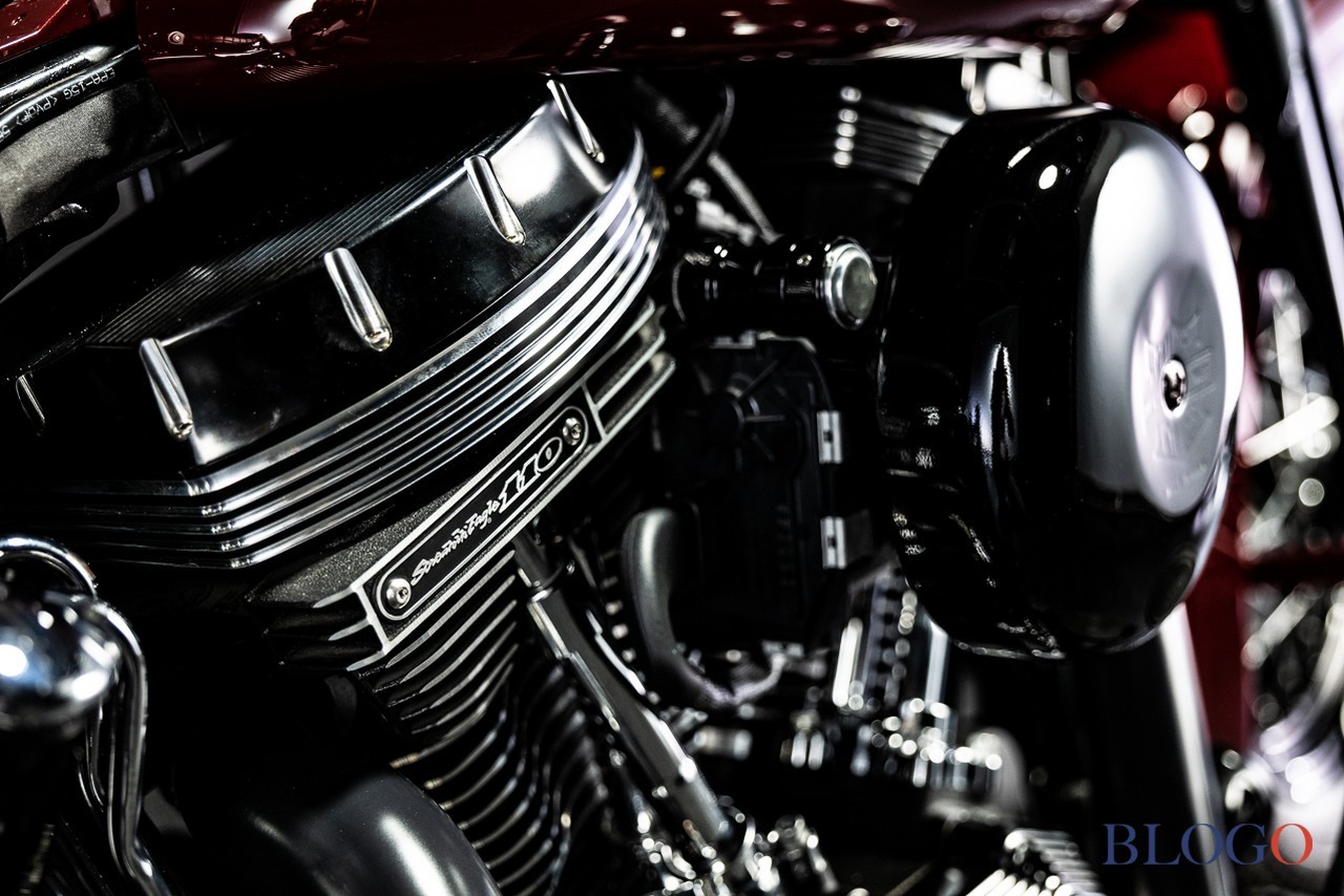 Harley-Davidson Softail Slim "Shishigaya" by Bad Land