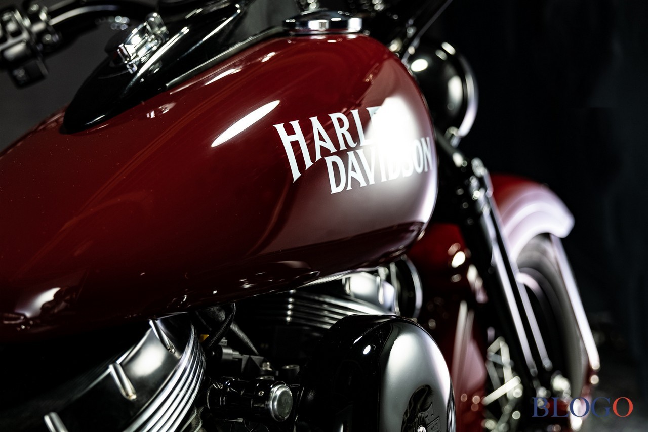 Harley-Davidson Softail Slim "Shishigaya" by Bad Land