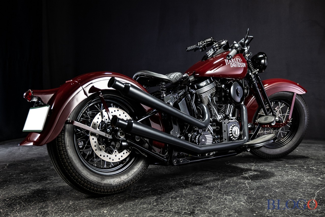 Harley-Davidson Softail Slim "Shishigaya" by Bad Land