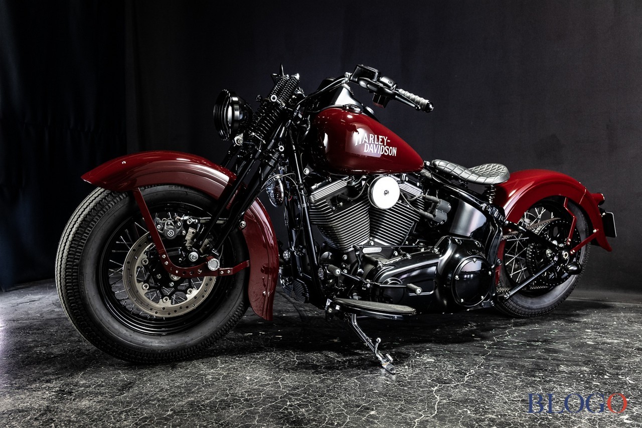 Harley-Davidson Softail Slim "Shishigaya" by Bad Land