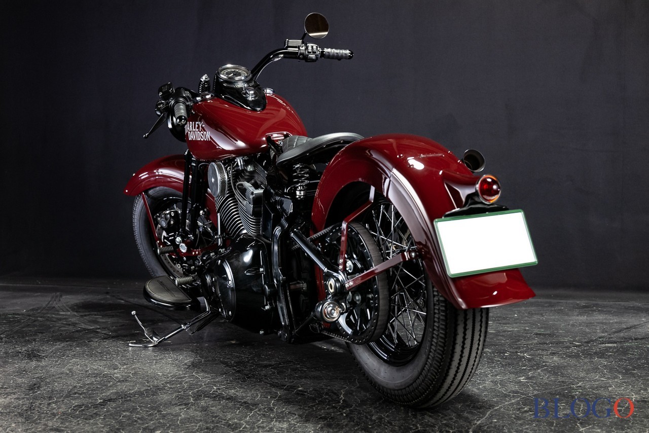 Harley-Davidson Softail Slim "Shishigaya" by Bad Land