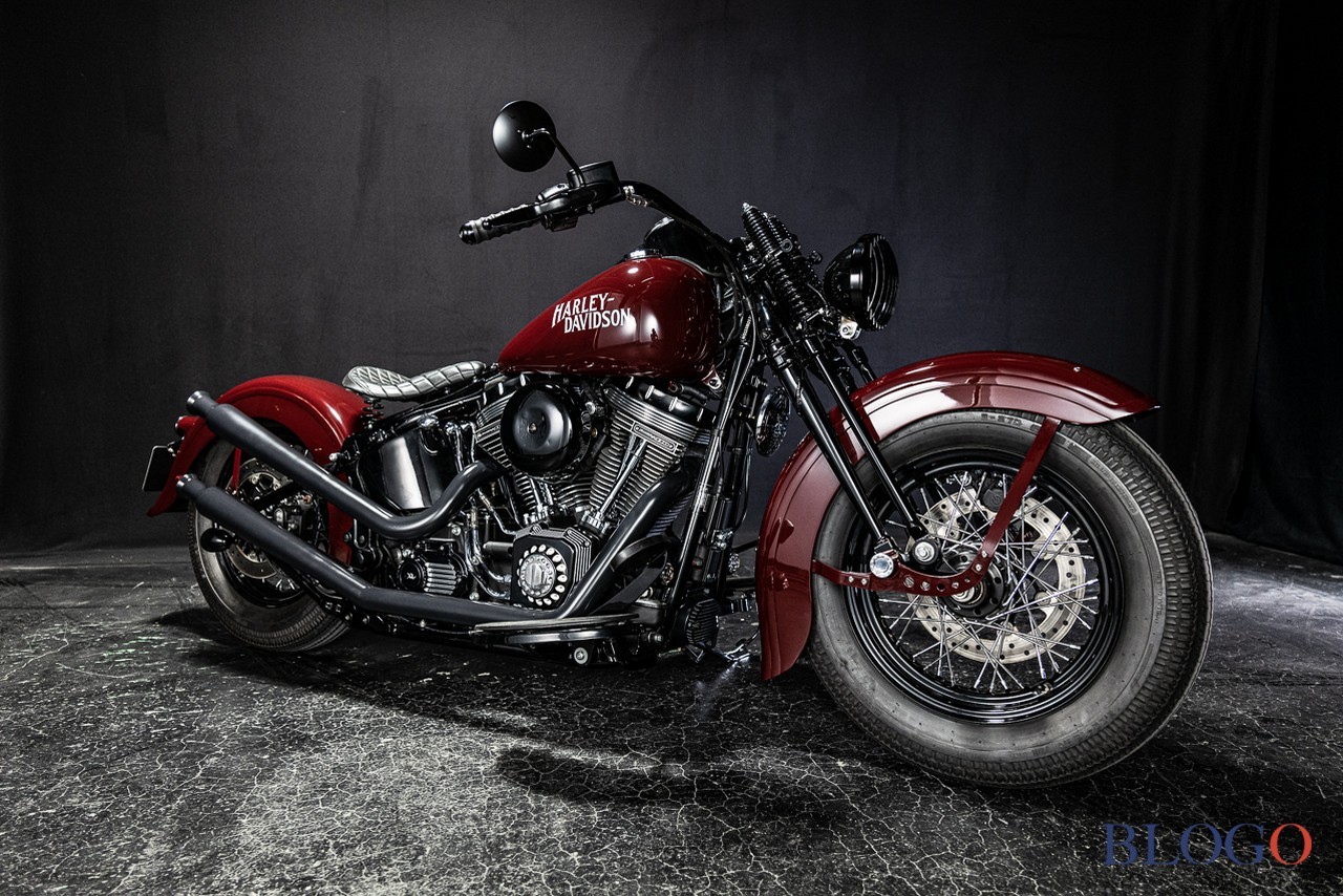 Harley-Davidson Softail Slim "Shishigaya" by Bad Land