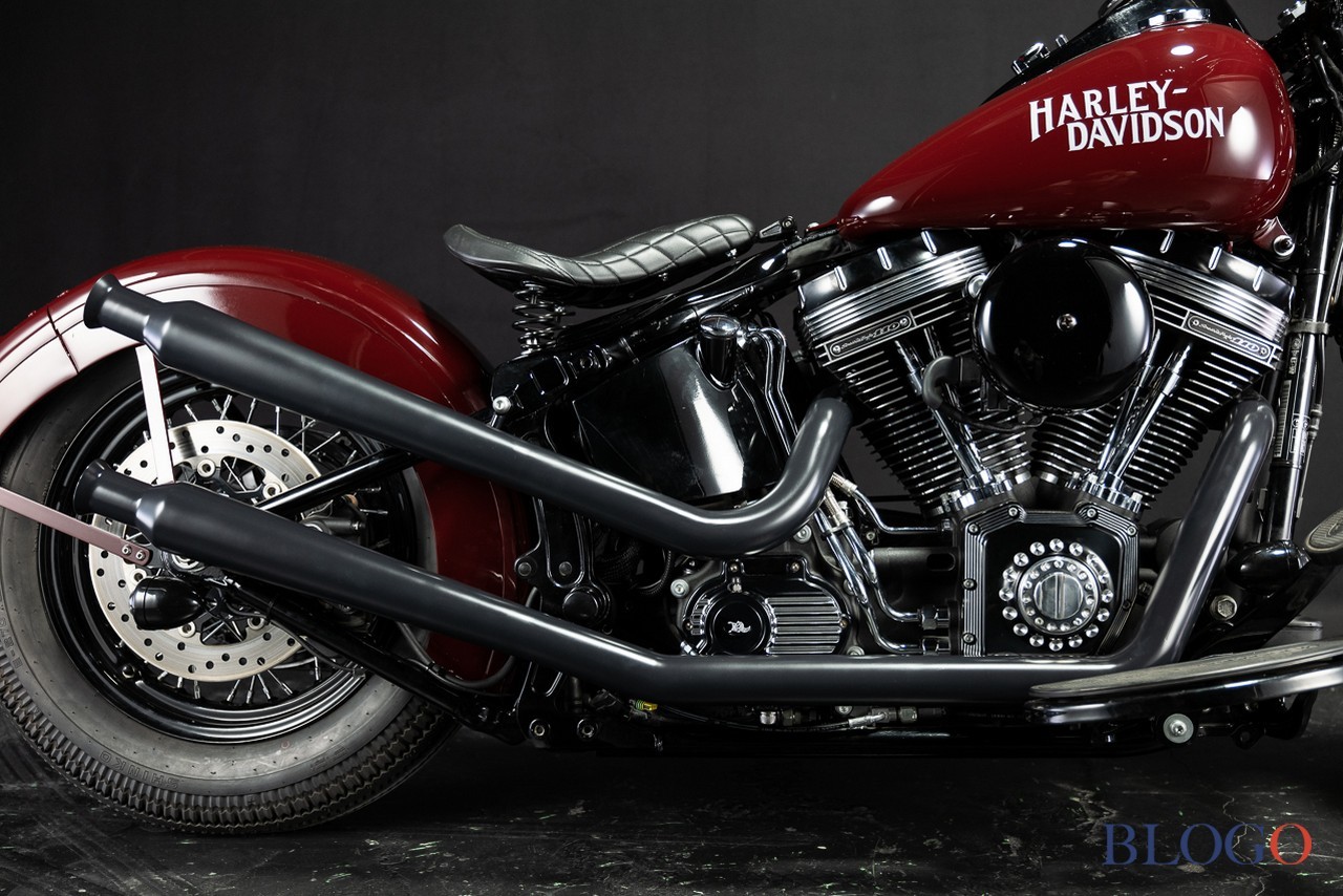 Harley-Davidson Softail Slim "Shishigaya" by Bad Land