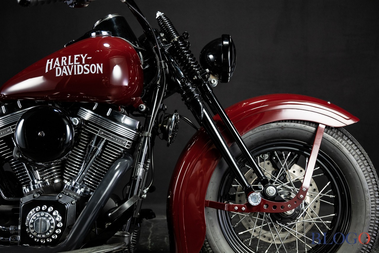 Harley-Davidson Softail Slim "Shishigaya" by Bad Land