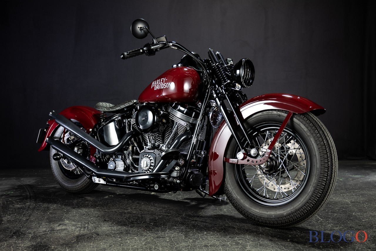 Harley-Davidson Softail Slim "Shishigaya" by Bad Land