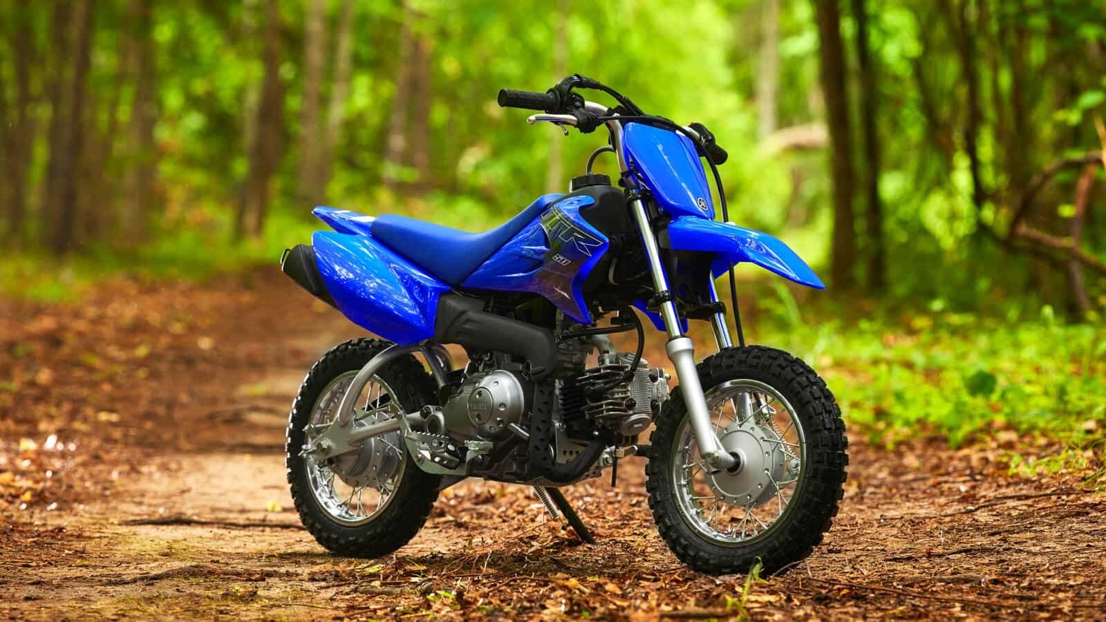 Yamaha gamma Off Road Competition 2022: foto