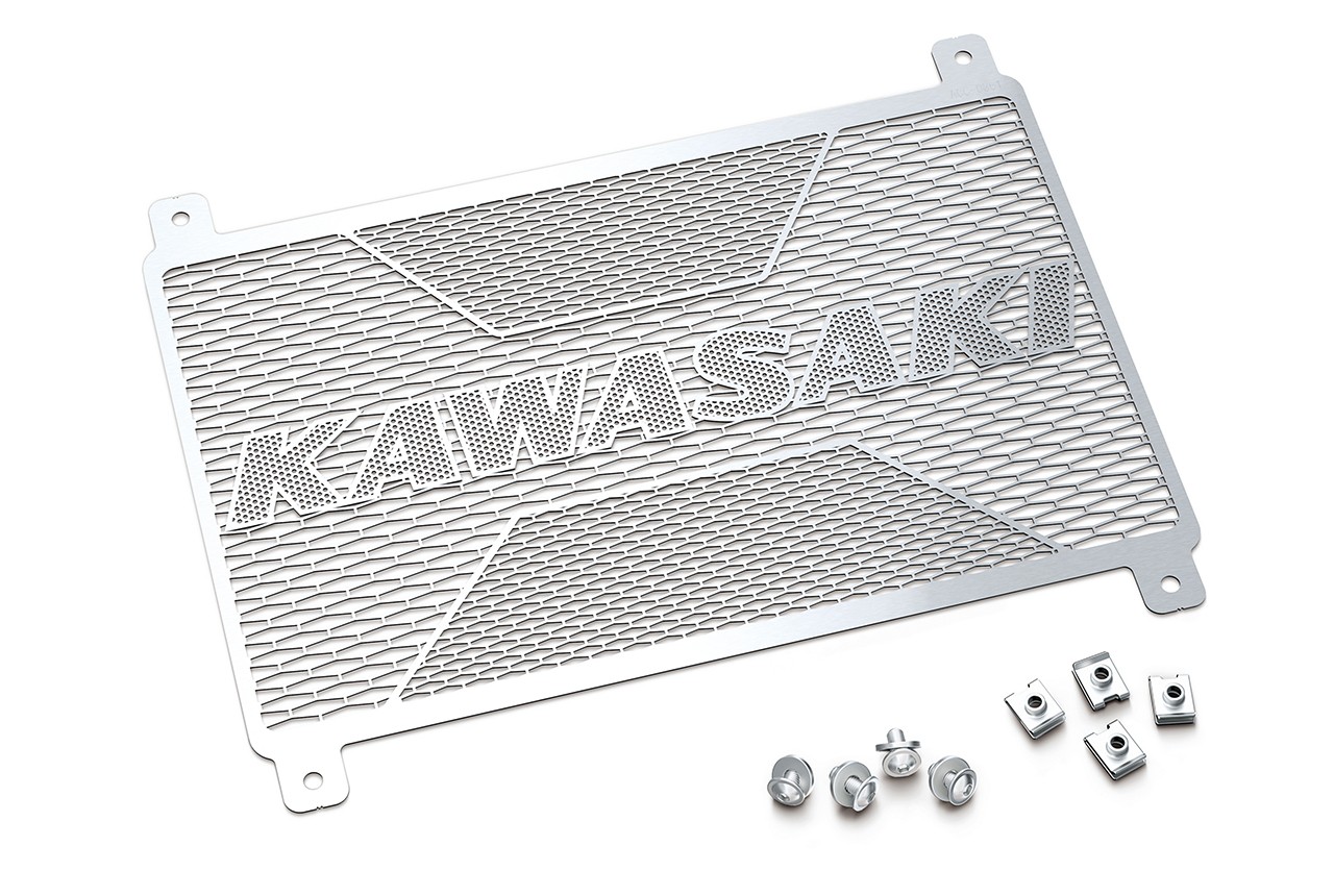 Kawasaki Z900RS SE 2022: le foto