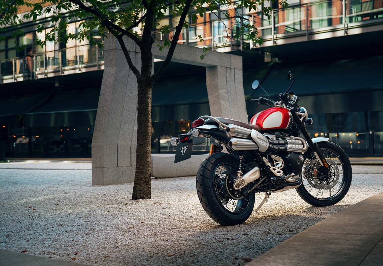 Triumph Gold Line Edition 2022