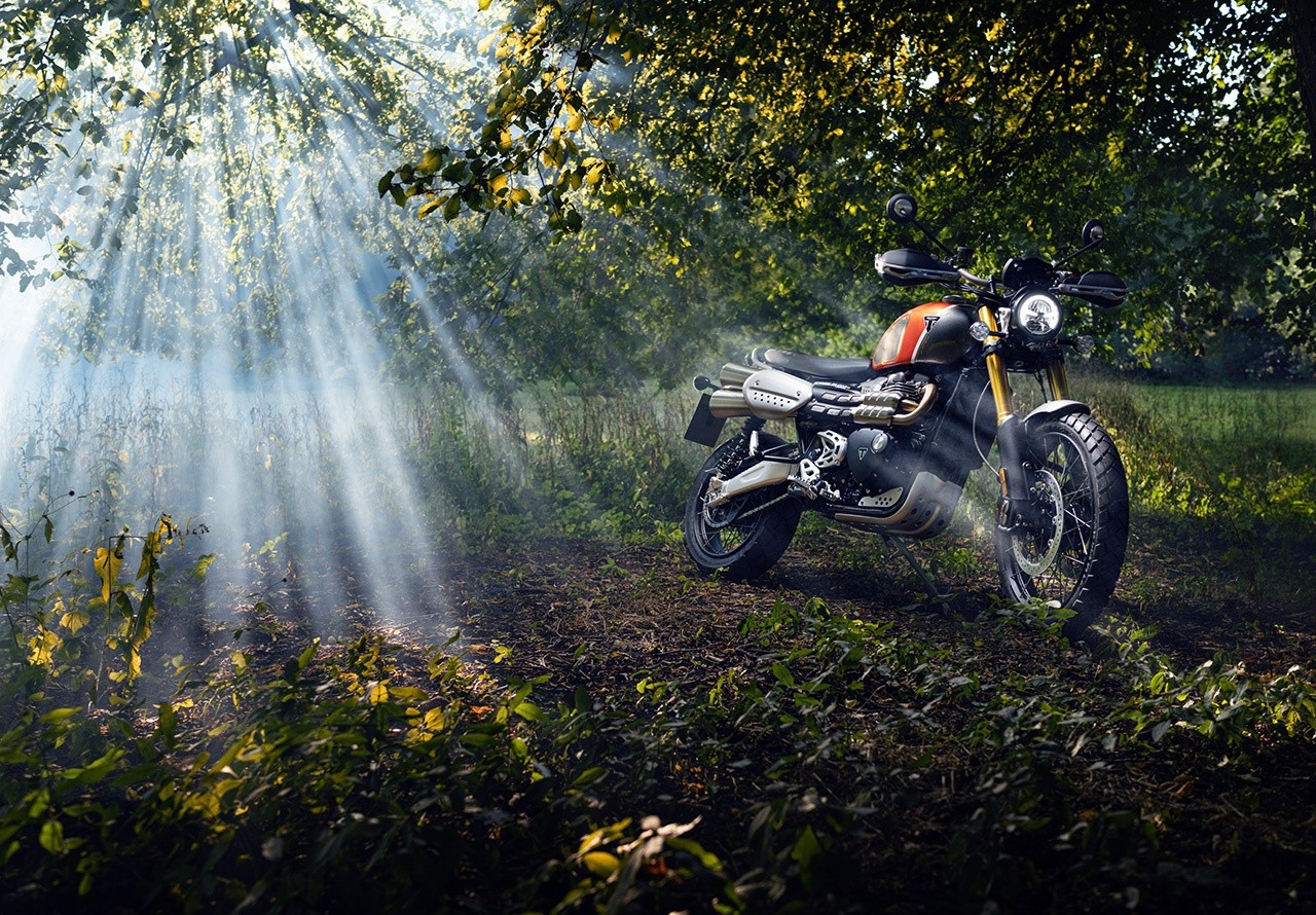 Triumph Gold Line Edition 2022