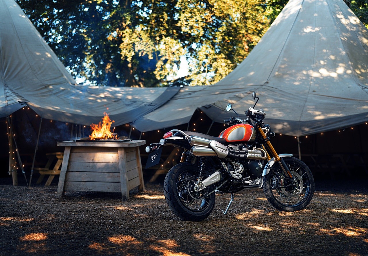 Triumph Gold Line Edition 2022