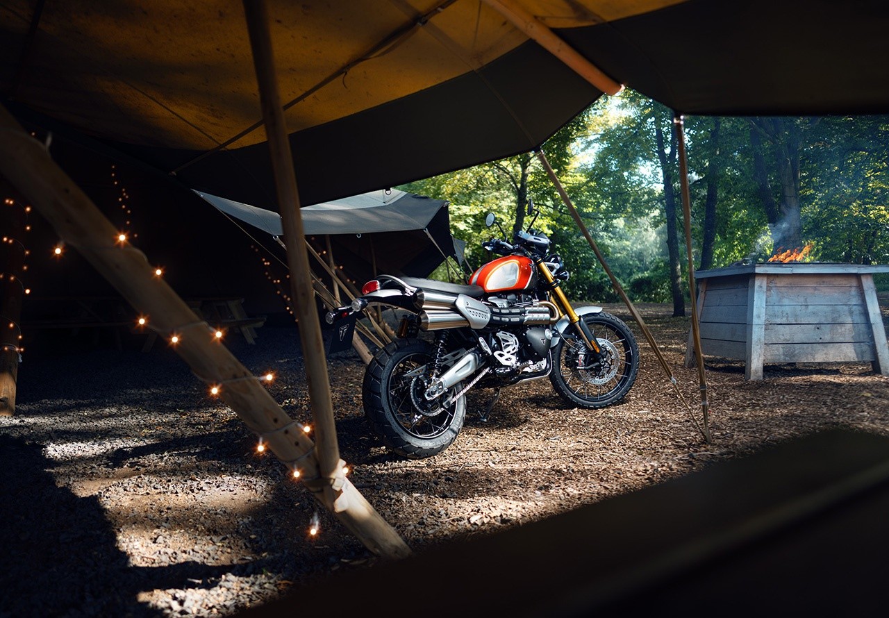 Triumph Gold Line Edition 2022