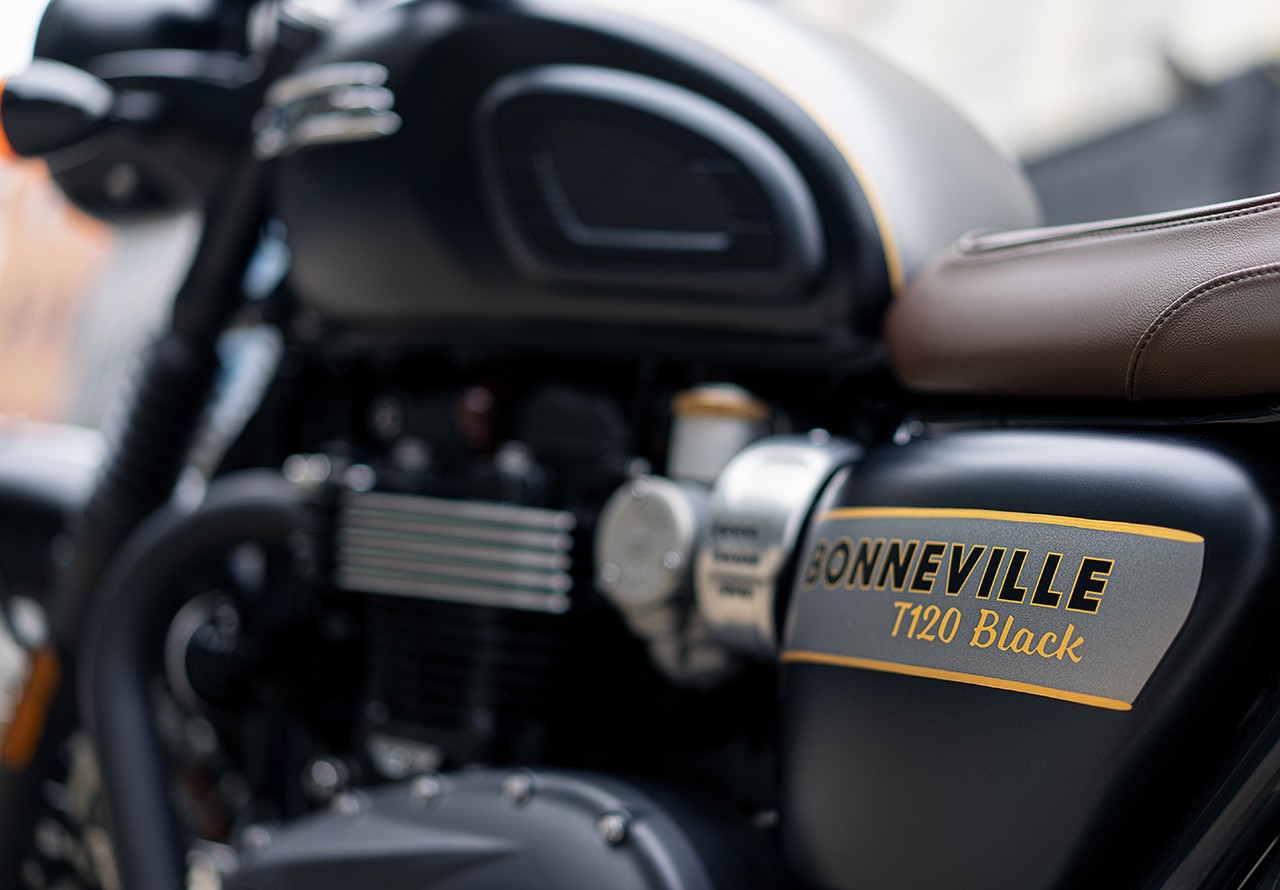 Triumph Gold Line Edition 2022