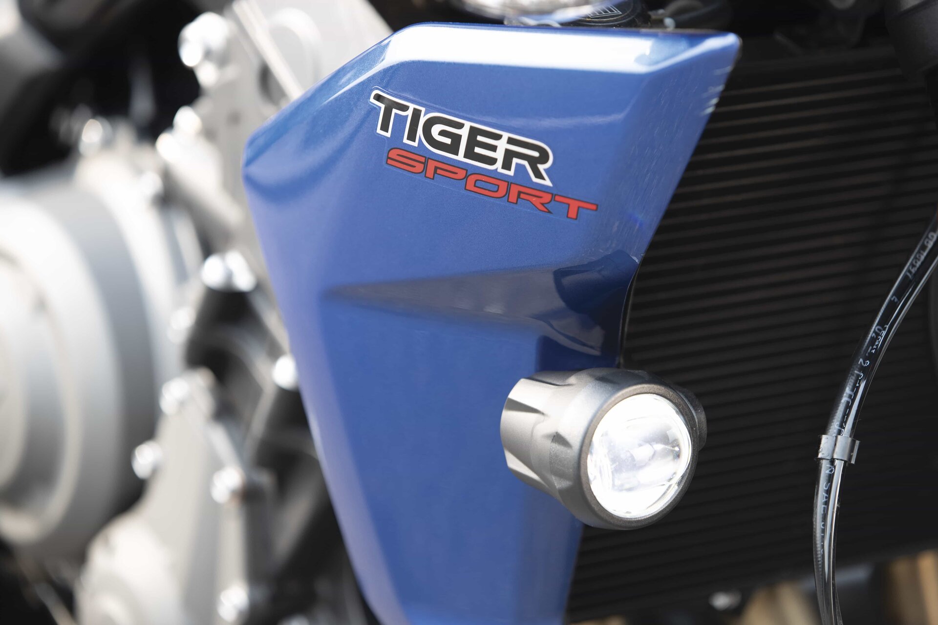 Triumph Tiger Sport 660: foto
