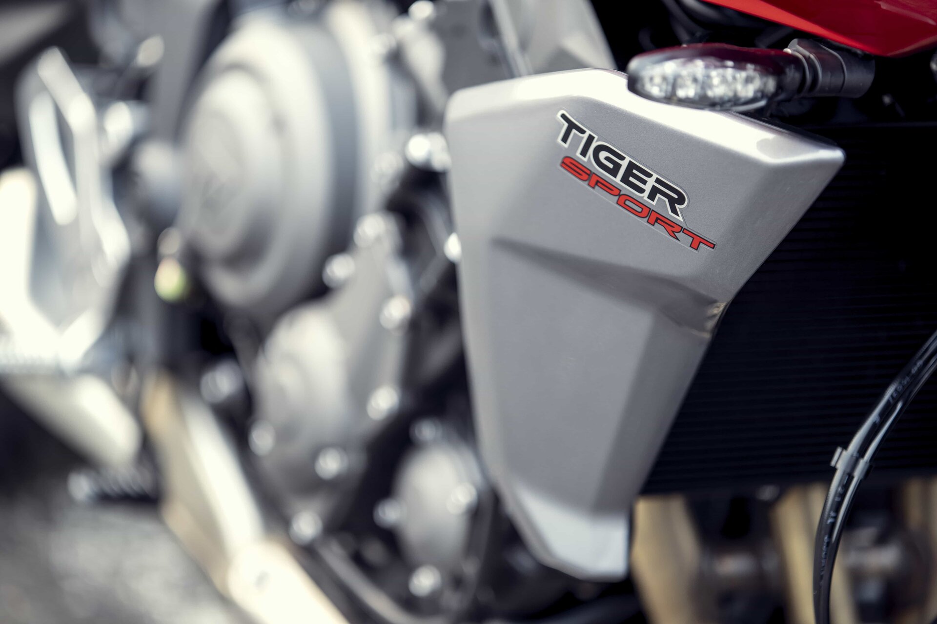 Triumph Tiger Sport 660: foto