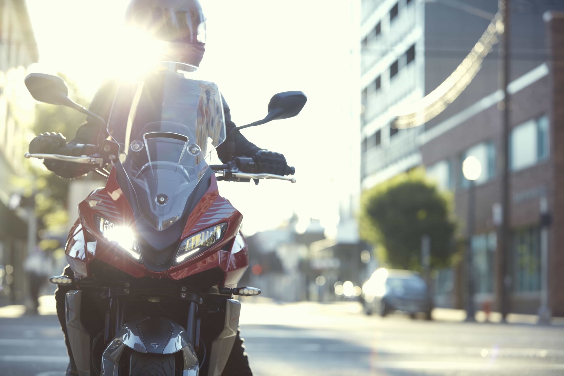Triumph Tiger Sport 660: foto