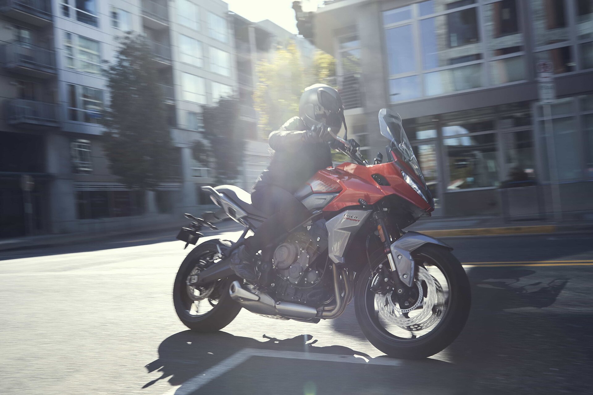 Triumph Tiger Sport 660: foto