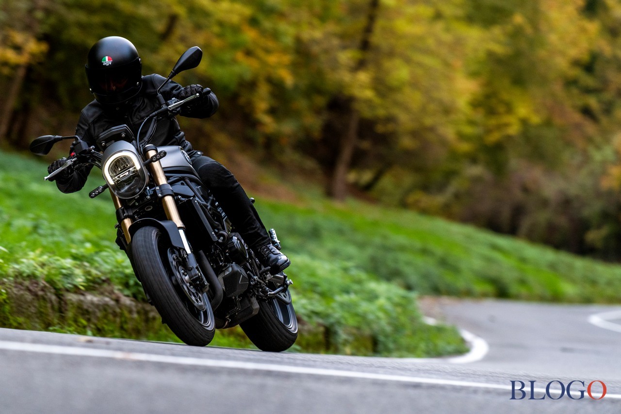 Benelli Leoncino 800 2022