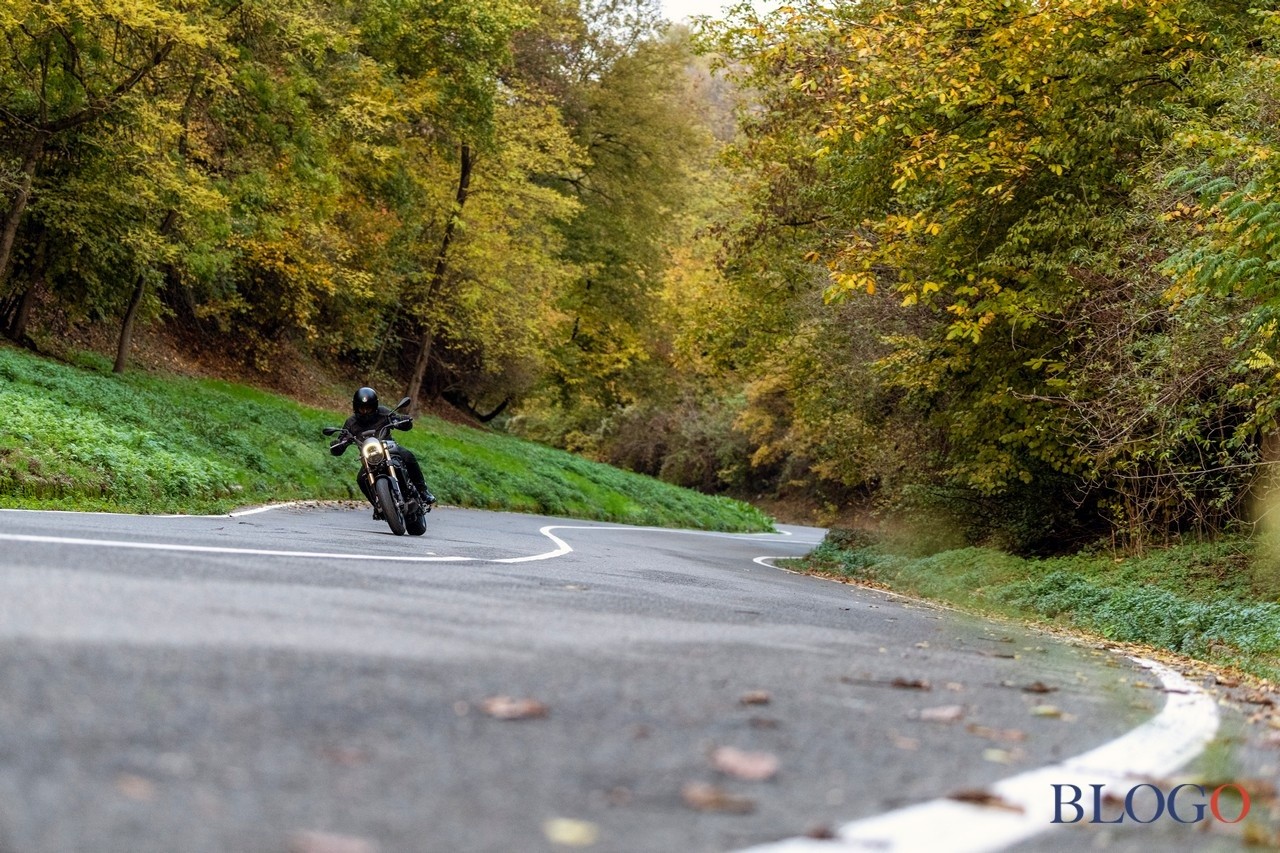 Benelli Leoncino 800 2022