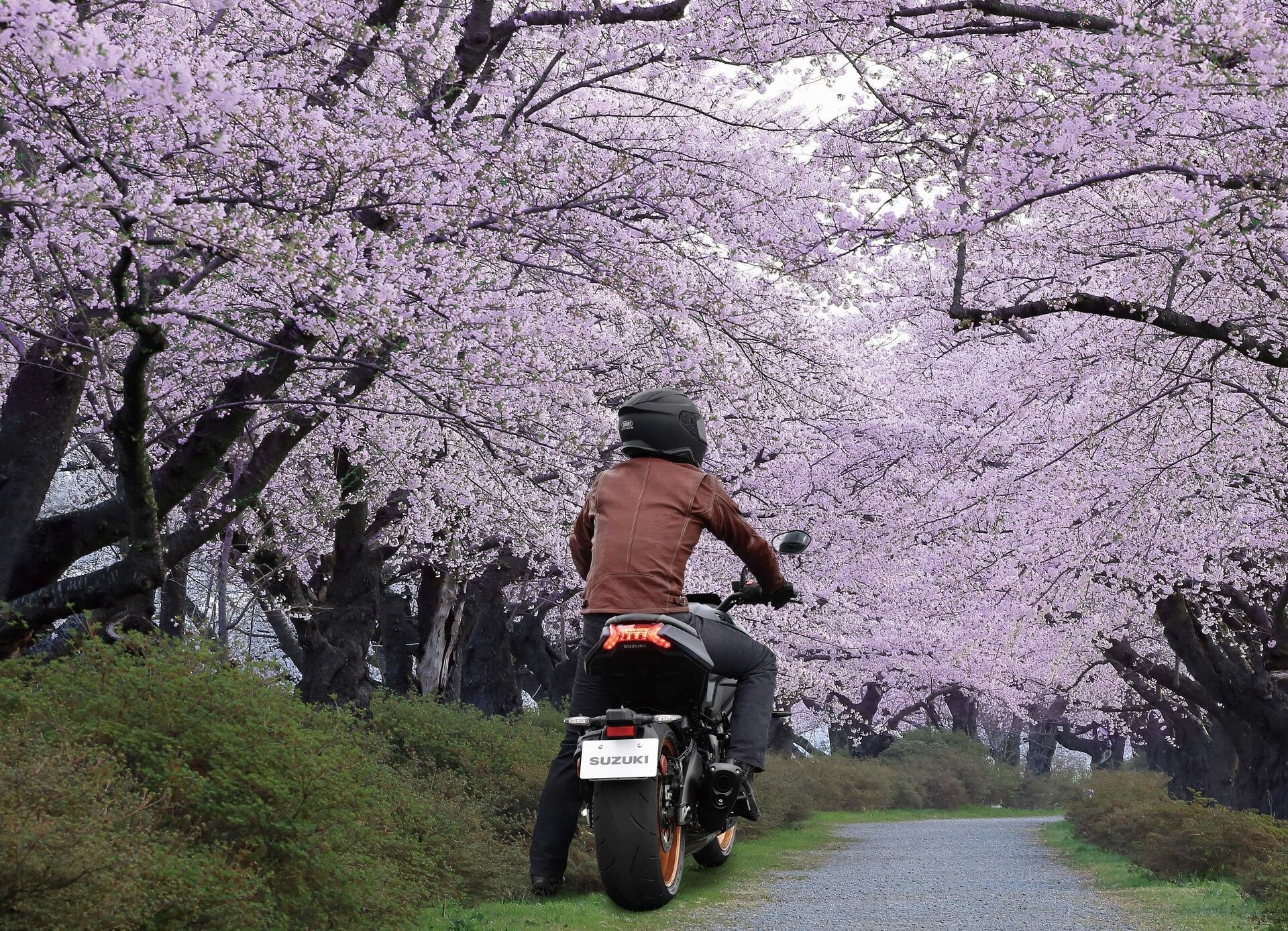 Eicma 2021, Suzuki svela la nuova Katana