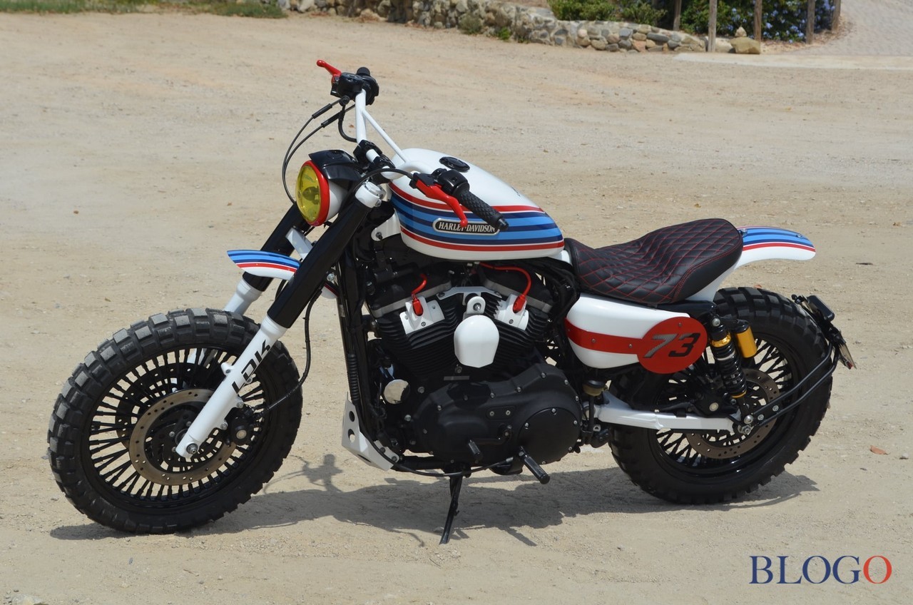 Harley-Davidson 883 Sportster "Martini" by LDK